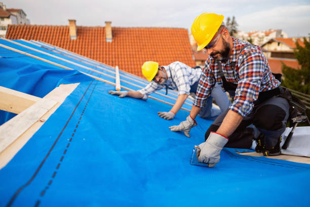 Roof Insulation in Ortonville, MN
